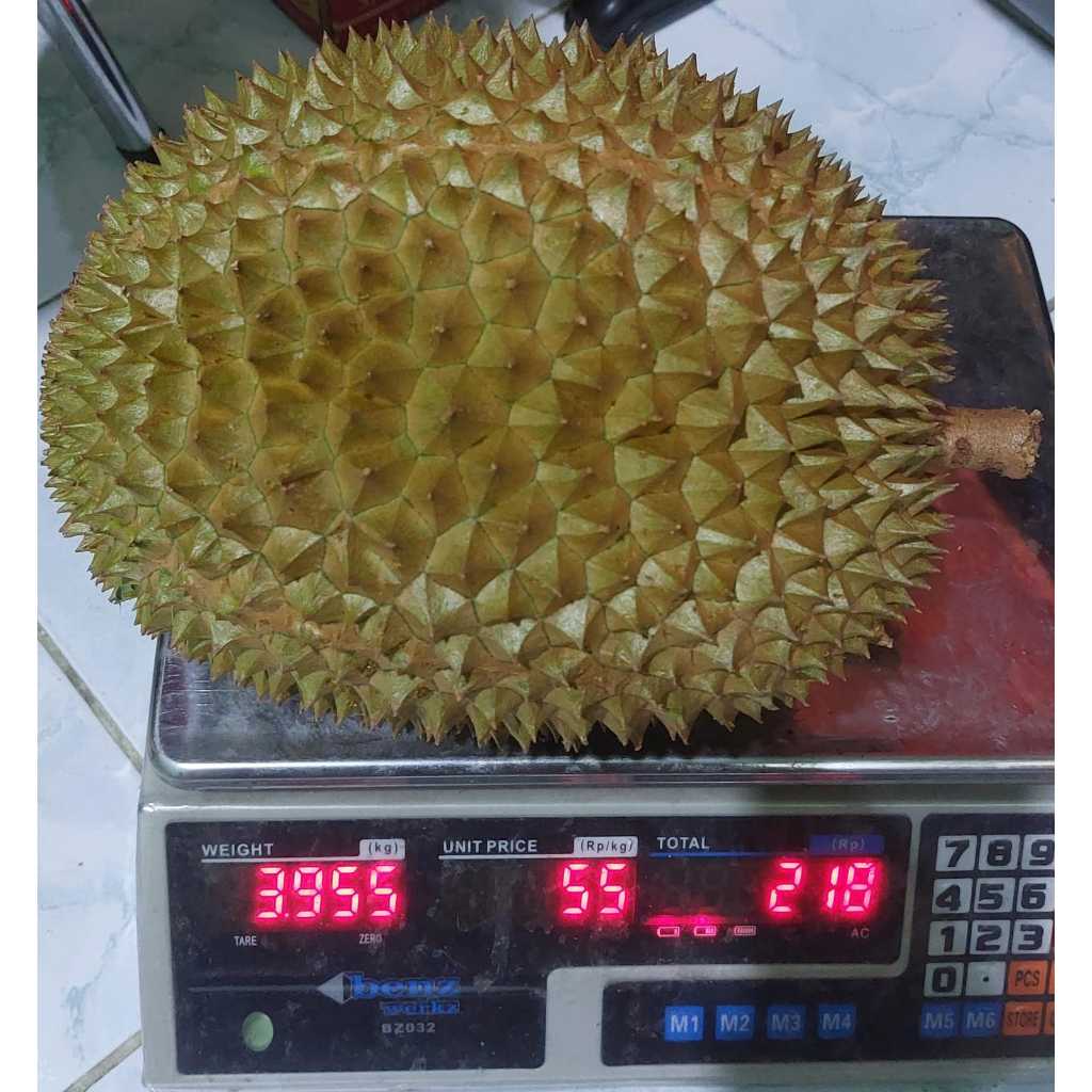 

Buah Durian Lokal Super Jumbo Kupas