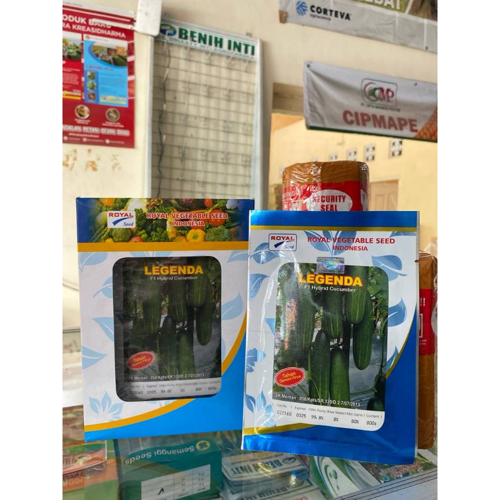 Timun Legenda F1 Timun Hijau Tahan Virus 20gr Original Pabrik