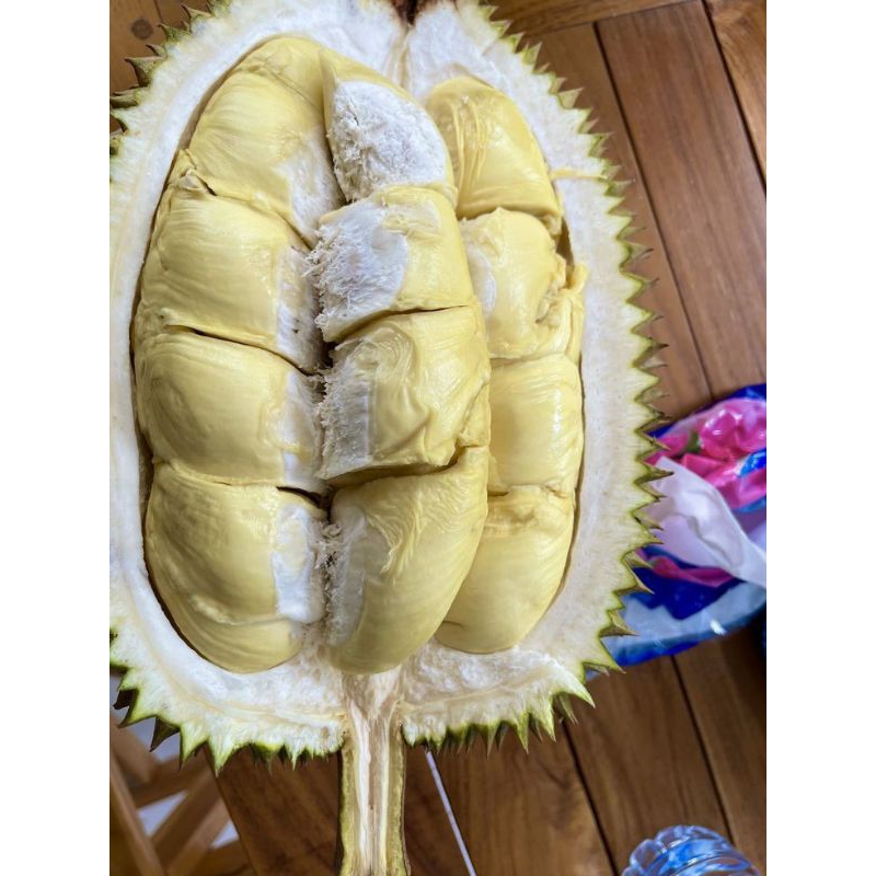 

DURIAN LOKAL FRESH JUAL DURIAN MALANG MURAH GRATIS ONGKIR