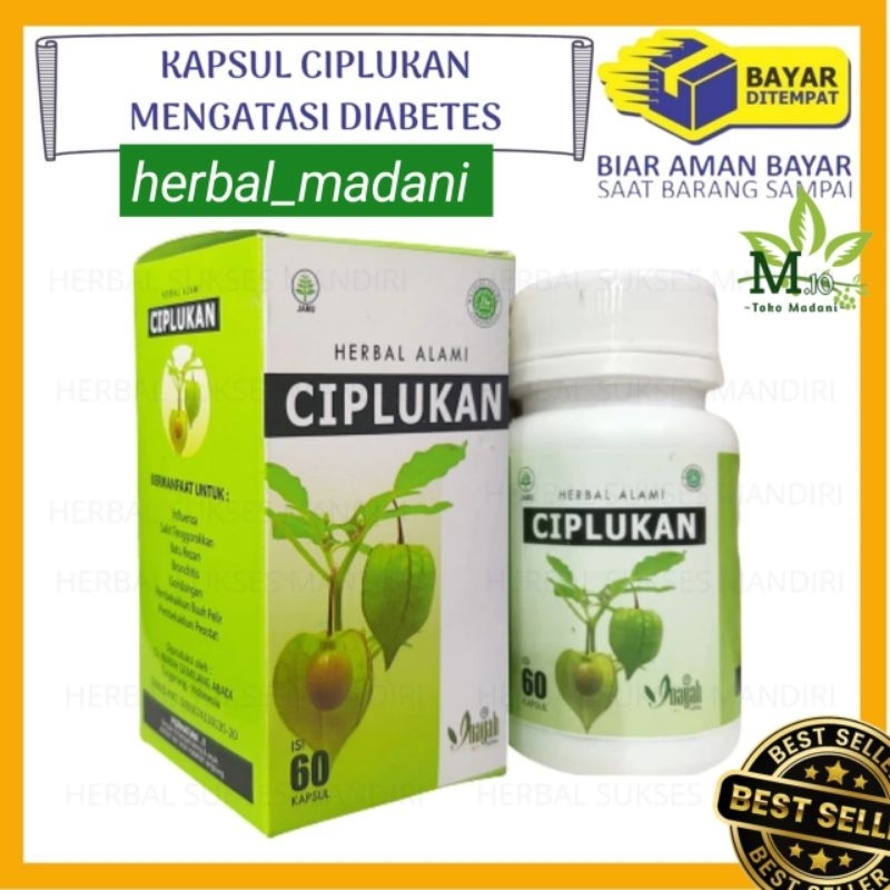 Kapsul Ciplukan / Ekstrak Buah Ciplukan/ isi 60 Kapsul