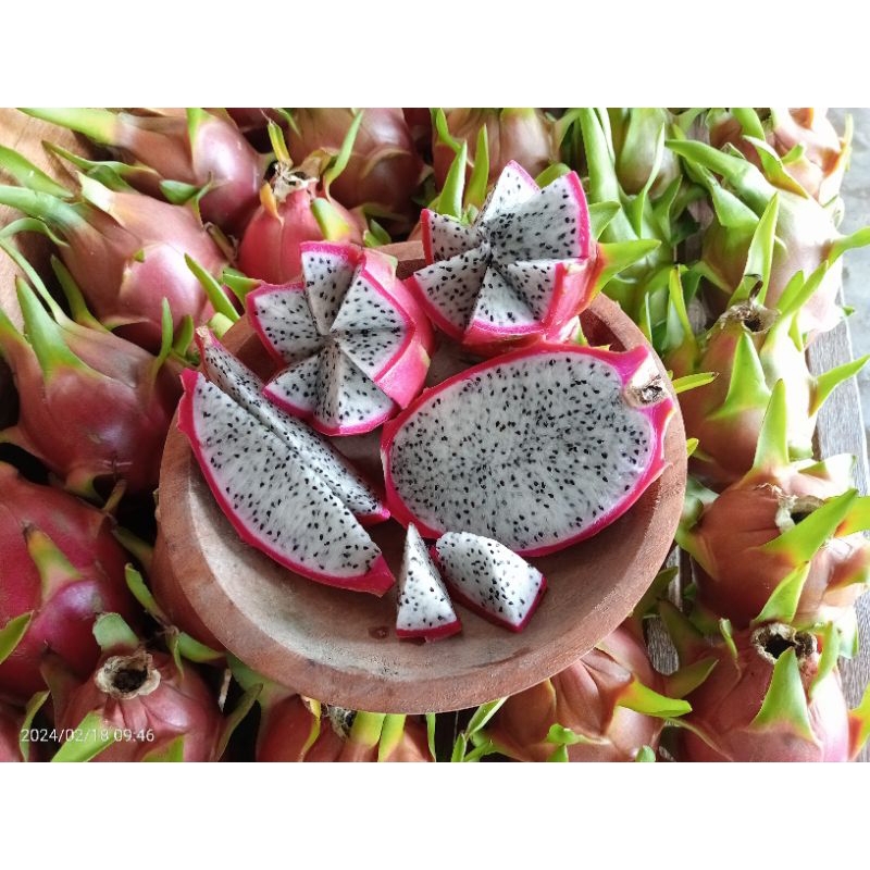 

buah naga putih (manis) berat 1kg