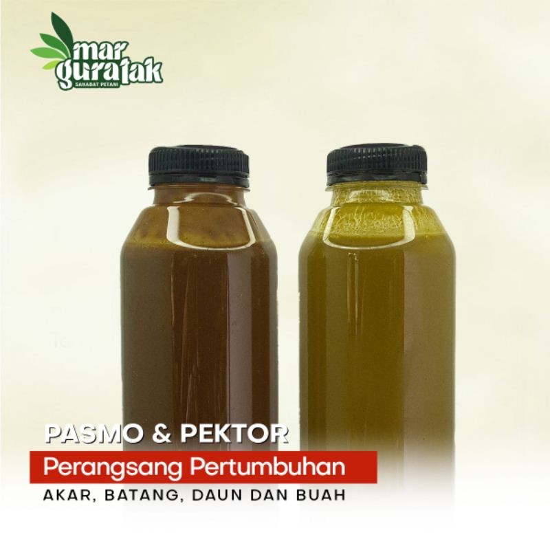 PAKET PASMO DAN PEKTOR