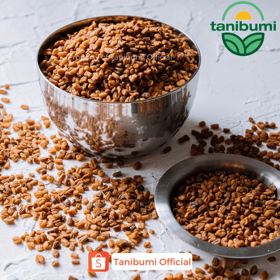 

COD TERMURAH Klabet Methi 1kg Pembesar Payudara Pelangsing Alami Fenugreek Hulbah Premium Termurah