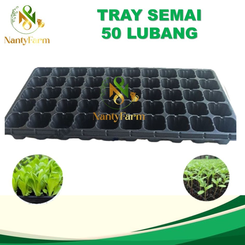 Tray Semai 50 Lubang Traypot Seedling Bibit Pot Tray - Tray Semai 50 Lubang