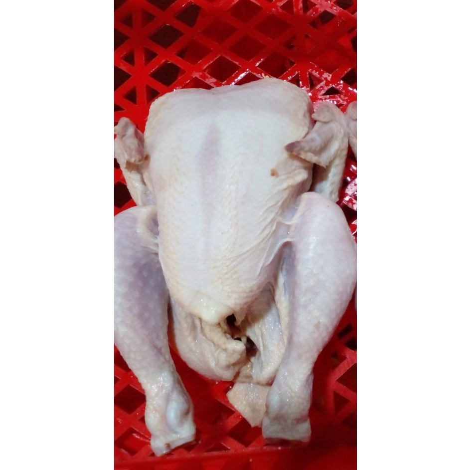 

D2289 Ayam broiler 7gramayam frozenayam potong
