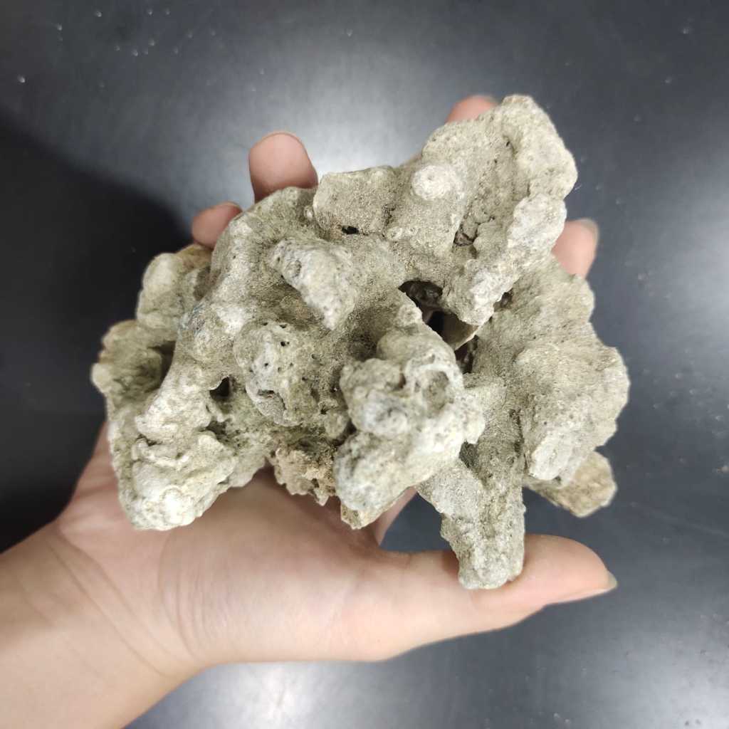 Karang Laut 1kg / Karang Jahe / Batu Karang Jahe / Batu Karang / Batu Karang Laut / Filter Kolam