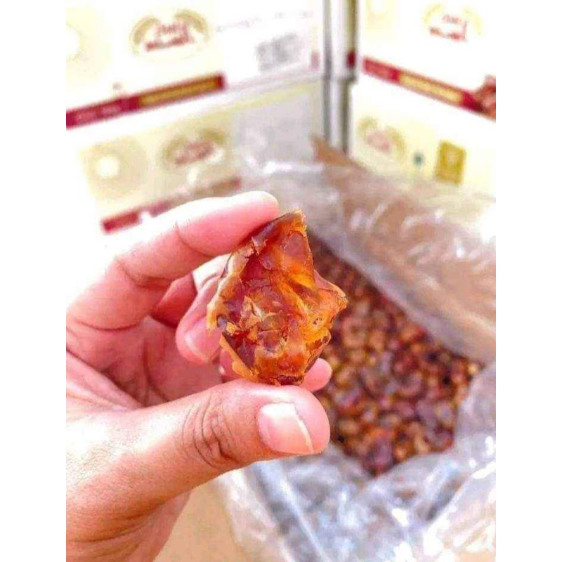

Kurma Khalas Saad Exp 2025 [best seller!]