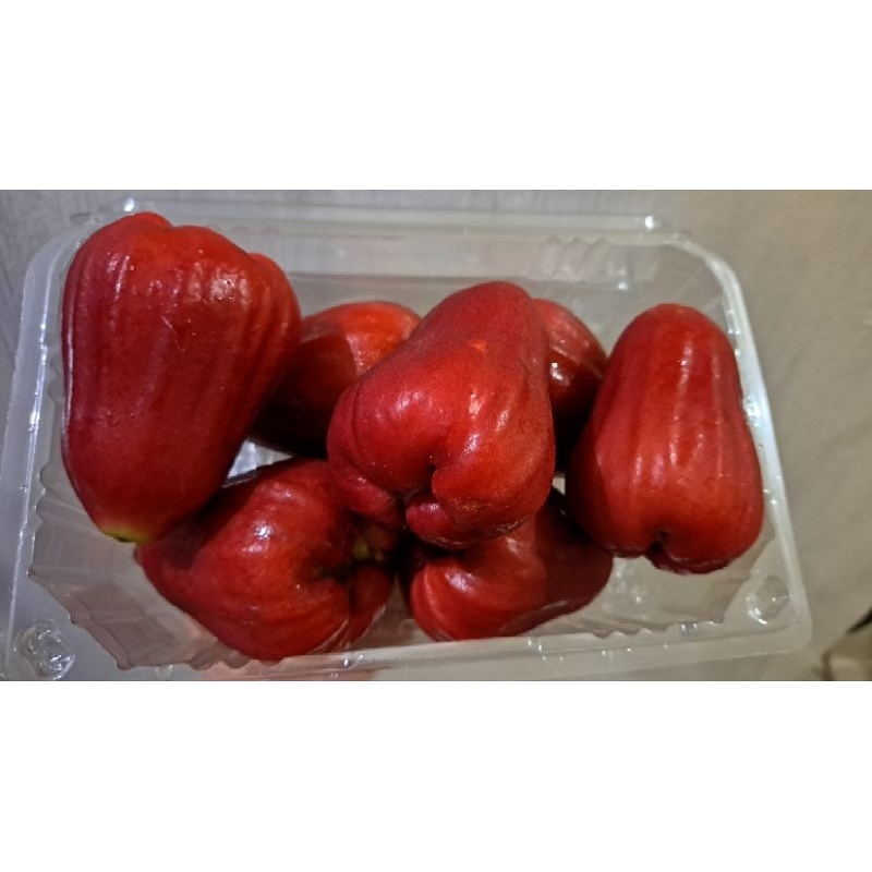 

Jambu Air King Rose Manis Premium Super 1 Kg