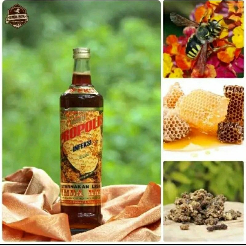 

madu rimba raya 600 ml (infeksi)botol kaca (hanya pengiriman instant)