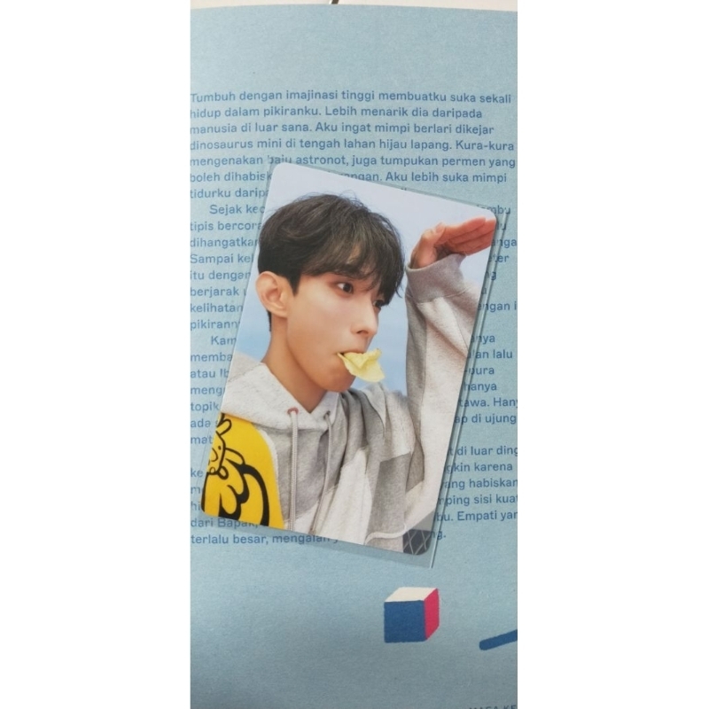 Photocard SEVENTEEN DK Bebek