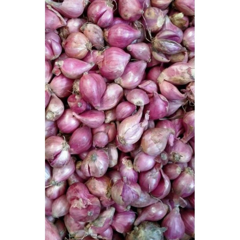 

Bawang Merah 1 KG