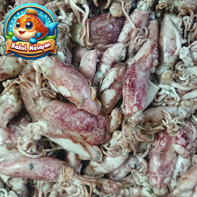 

Cumi sontong, khusus kirim instant