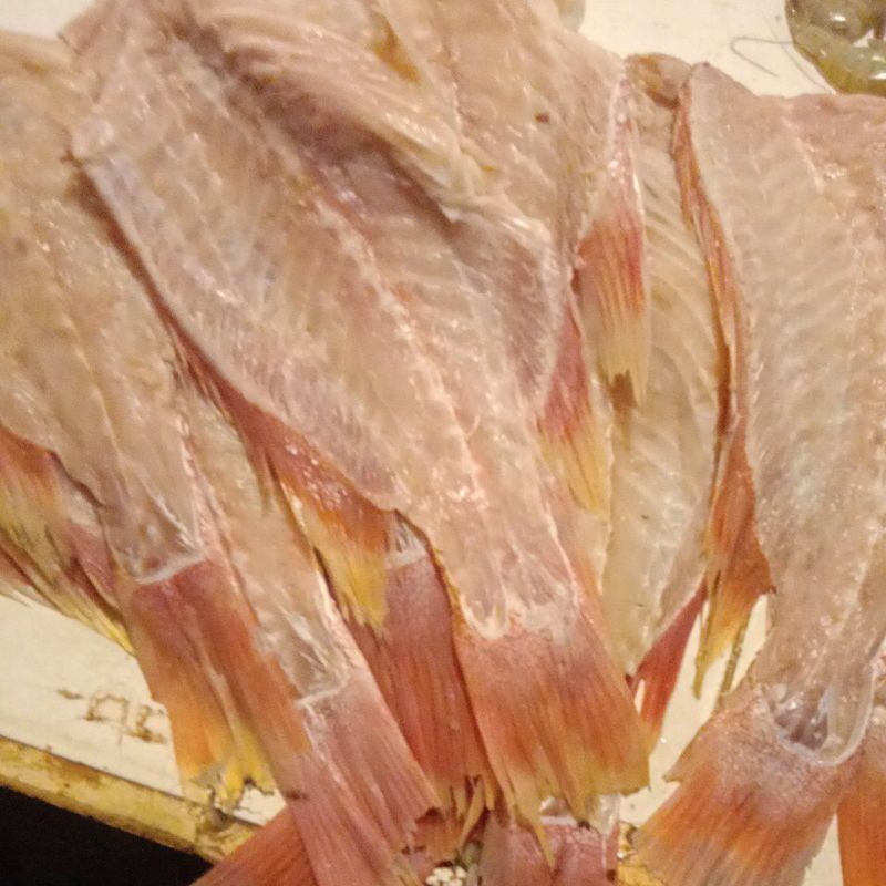 

tulang ikan kakap merah