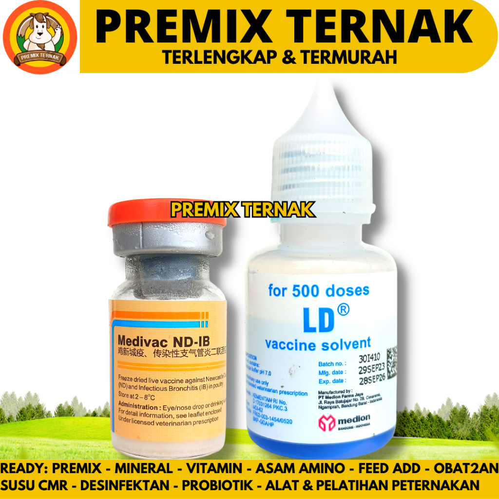 VAKSIN MEDIVAC ND IB DOSIS 500 EKOR + PELARUT MEDIVAC MEDION - Vaksin Ayam Tetelo dan Infeksius Bron
