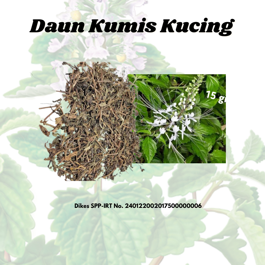 

Daun Kumis Kucing Kering