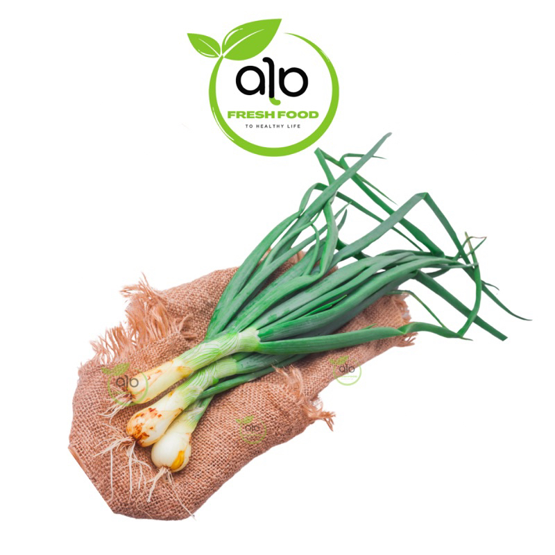 

TERMURAH Bawang Batak Lokio Segar 250gr - 1kg | Sayur online - ALO Fresh Food