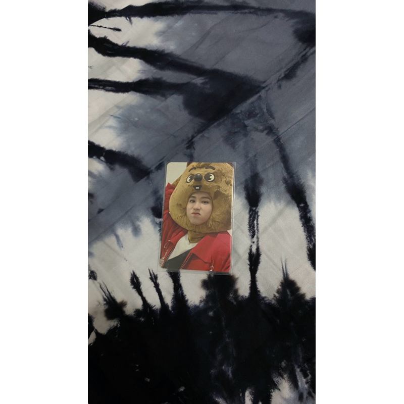 straykids skz han soundwave korea swkr badut appmus inlife photocard pc