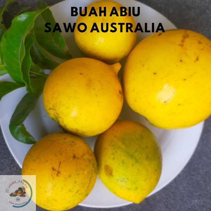 

Buah Abiu Sawo Australia Manis Segar