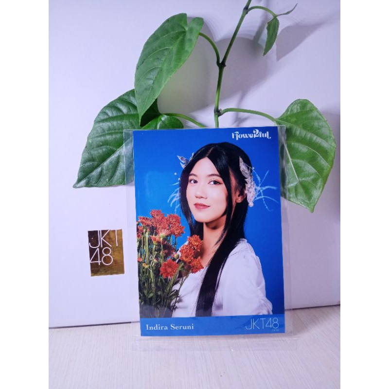 photopack JKT48 flowerfull INDIRA