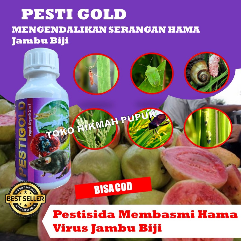 Pupuk Agar Buah Jambu Biji Panen Melimpah PESTI GOLD Pestisida Hama Ulat Jambu Biji, Jambu Kristal, 