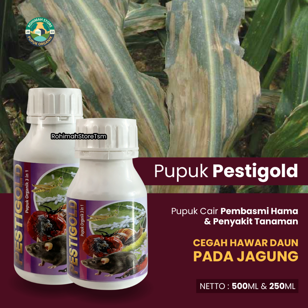 PUPUK MURAH Mengobati Hama Hawar Daun Tanaman Jagung - Pupuk Pembasmi Hama Daun, Lalat Pemakan Buah 