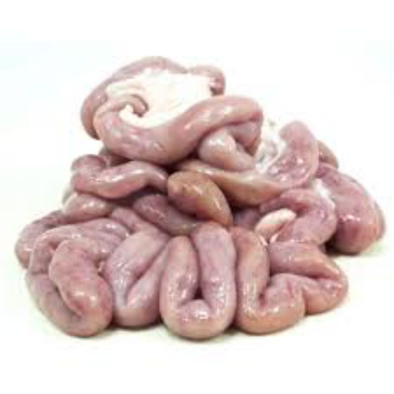 

Usus Iso Sapi 250 gram KIRIM INSTANT