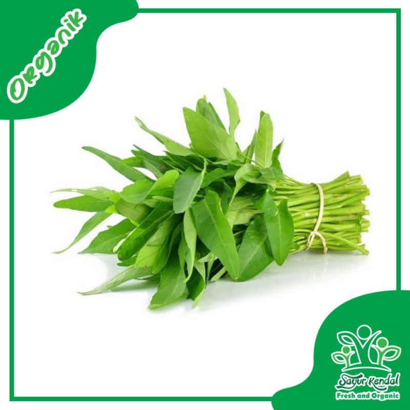 

Kangkung - Sayur Kendal Sawangan