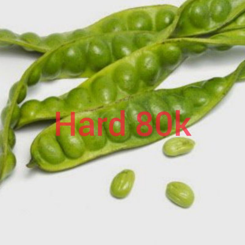 

Pete Segar Per Ikat Harga 105k Ukuran Hard