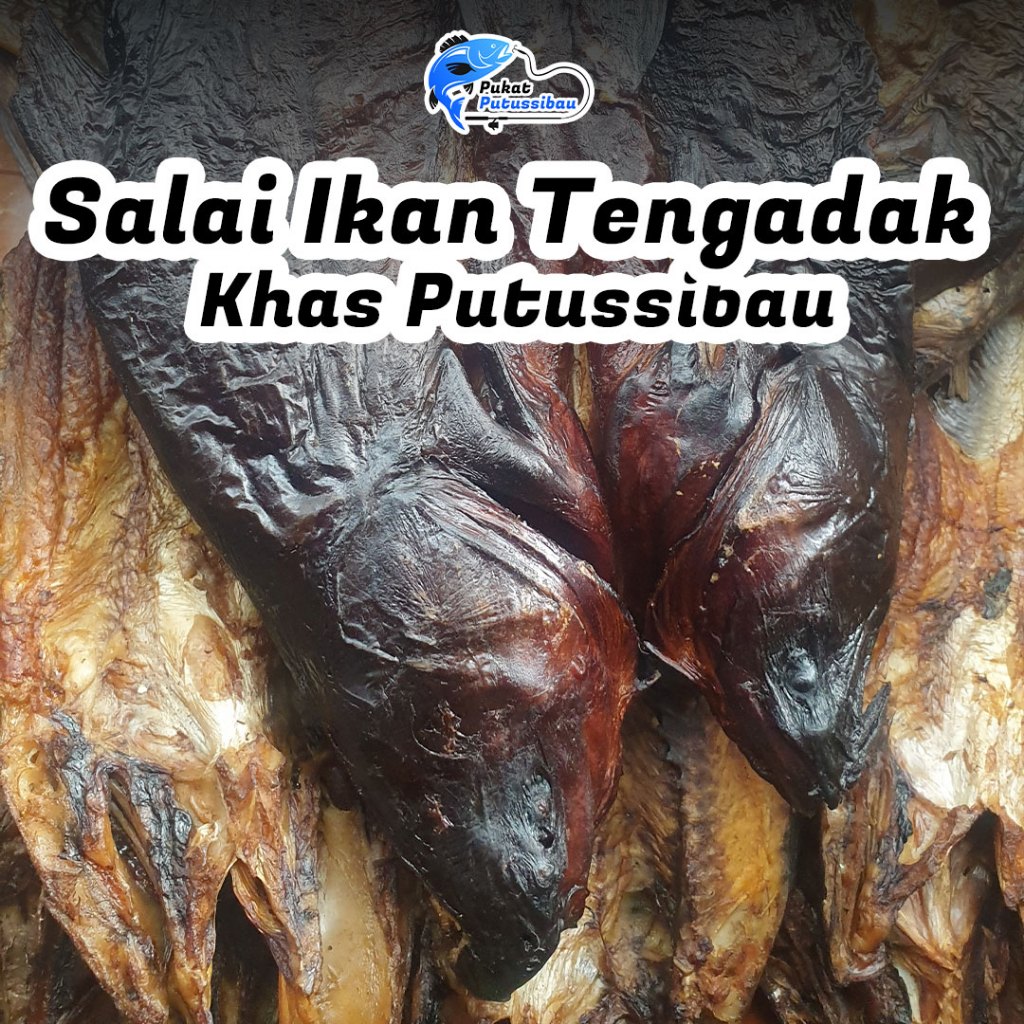 

Salai Ikan Tengadak | Ikan Asap Khas Sungai Kalimantan Barat Kapuas Hulu Putussibau (100 gram)