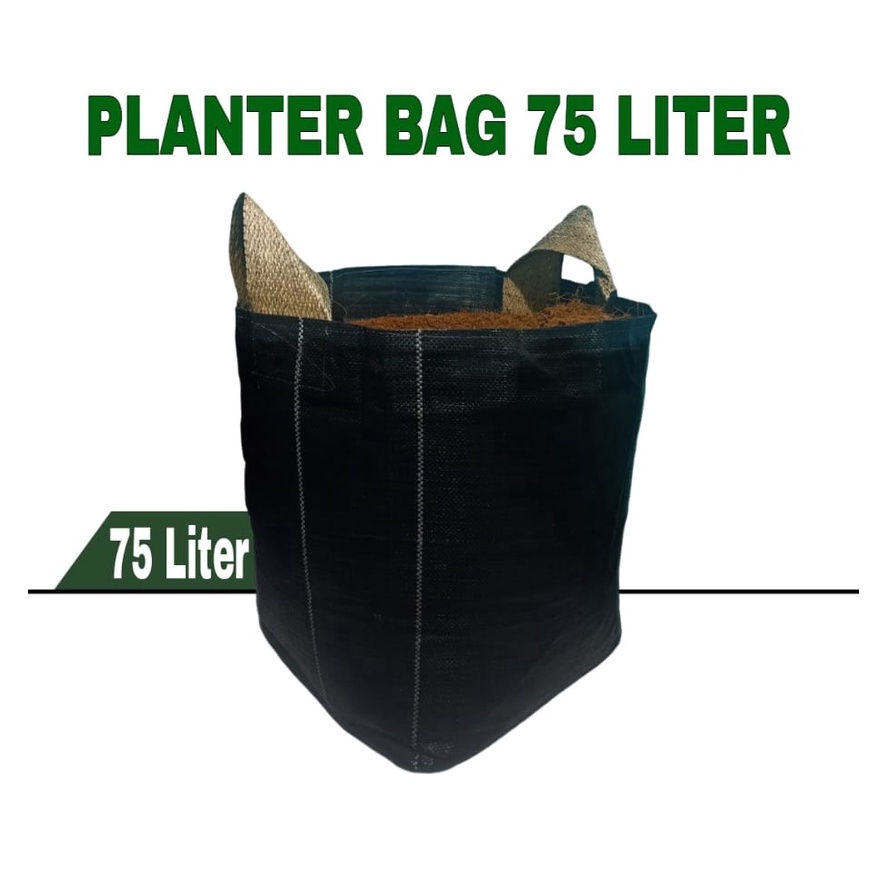 XPRESS planter bag 75 liter pot tanaman pot buah