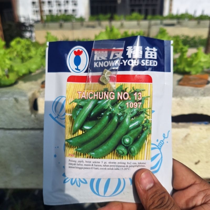 Bibit Benih Kacang Kapri Known You Seed Kemasan Repack