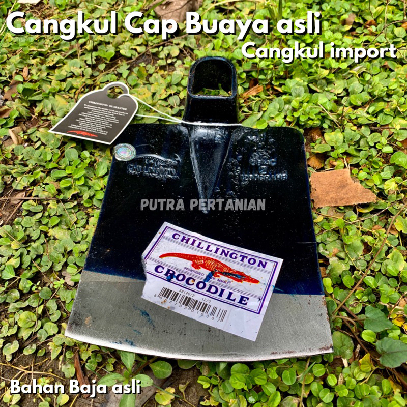 Cangkul Import Cap Crocodile Chillington - Pacul Cap Buaya Asli Cangkul Sawah Tebal Kuat