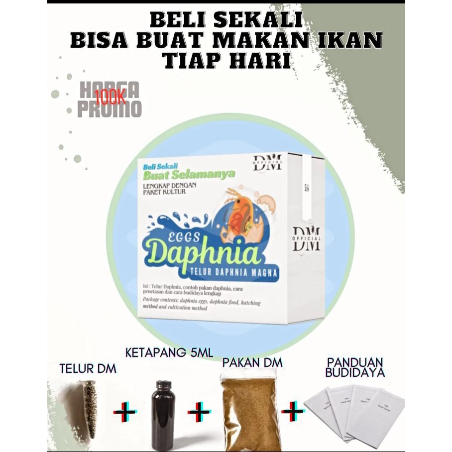 Telur Daphnia Magna / Paket lengkat kultur Daphnia Magna