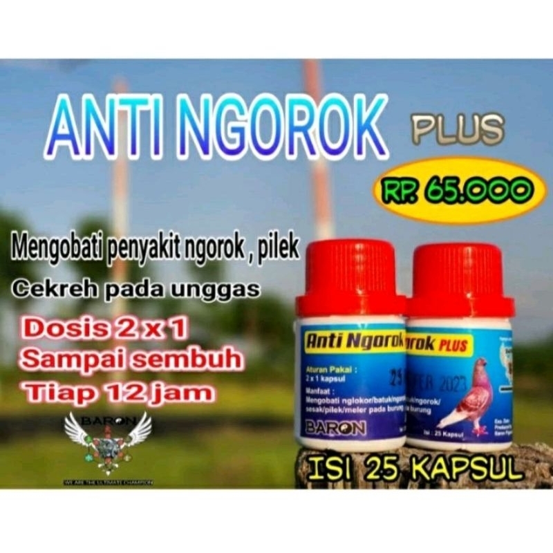 BARON ANTI NGOROK  MENGOBATI  NGOROK BURUNG MERPATI