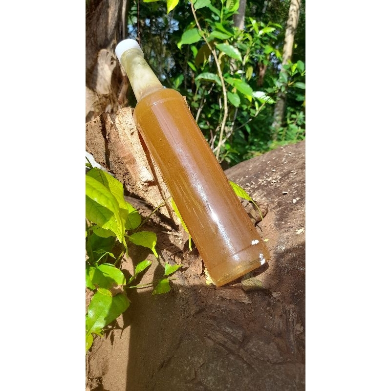 

madu hutan Asli kemasan 460ml