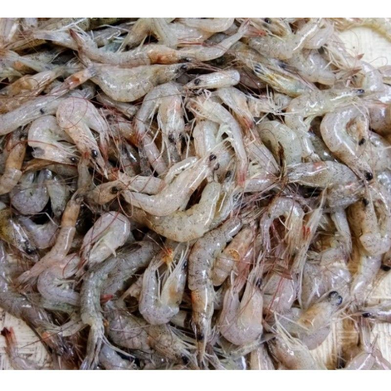 

Udang bakwan/peyek/kecil 250/500gr KIRIM INSTANT