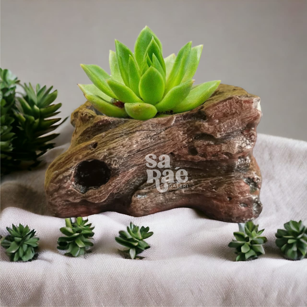 POT RELIEF KAKTUS MOTIF KAYU