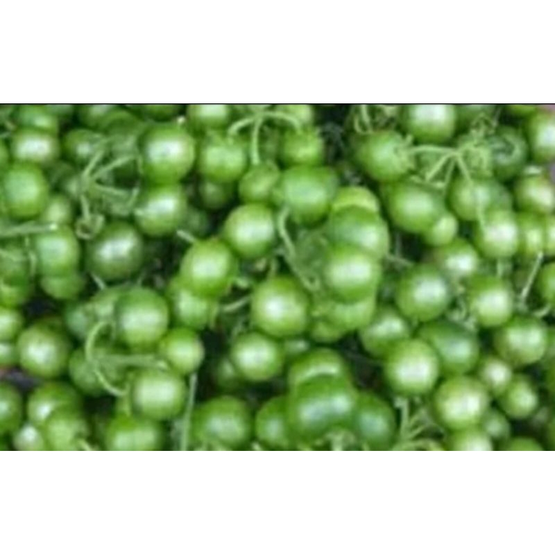 

lenca 1kg