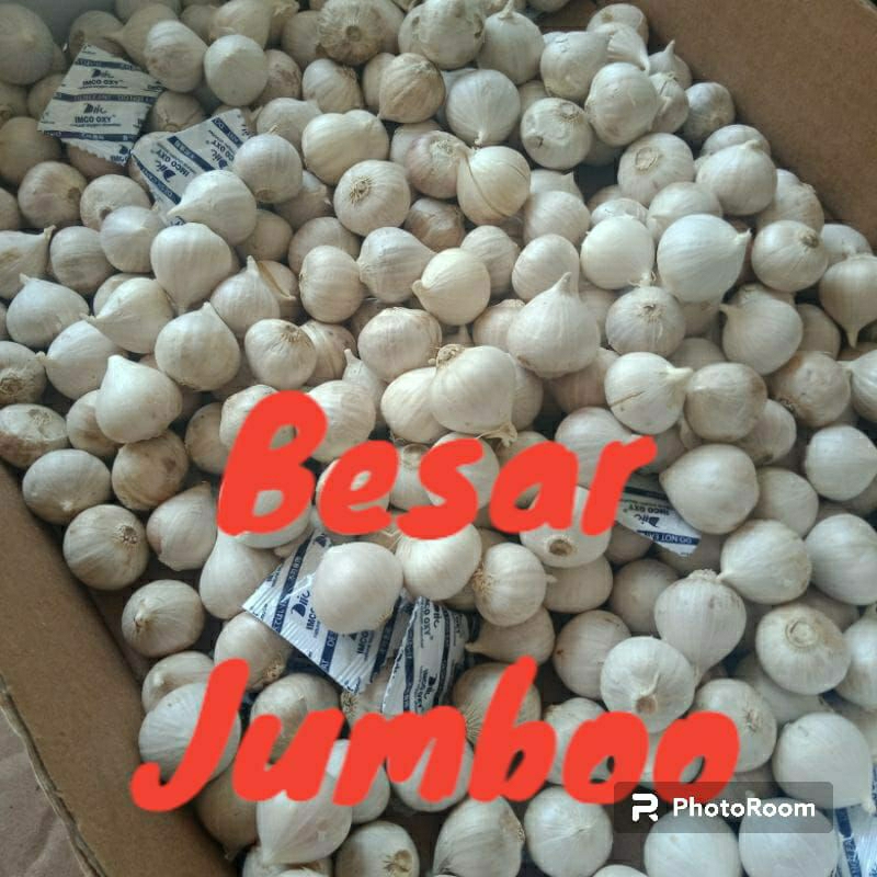 

bawang putih tunggal besar jumbo 500 gram/lanang jumbo