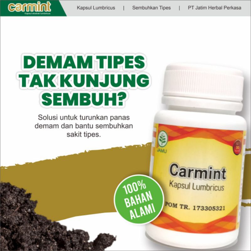 

Carmint