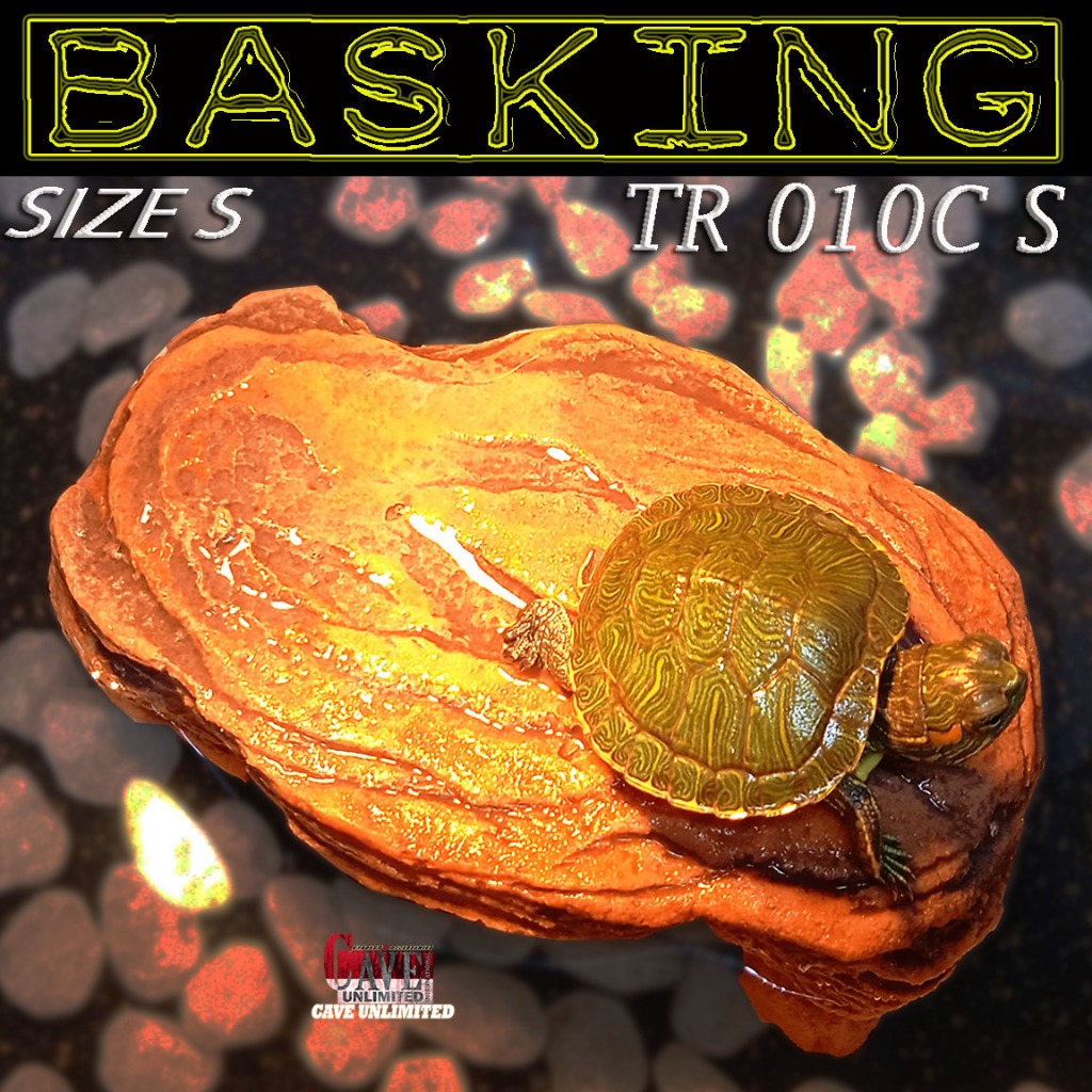 Ha TR010C BASKING TANGKRING KURA-KURA AIR TURTLE RES BRAZIL CST AST AMBON RAZOR DAMER PIPUT ALIGATOR