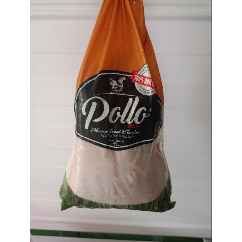 Ayam Pollo Karkas Broiler 1.2 kg - 1.3 kg