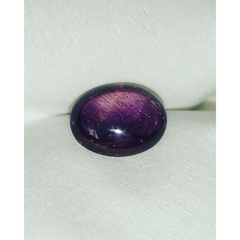 KECUBUNG UNGU BULU MERAH KECUBUNG RAMBUT MERAH