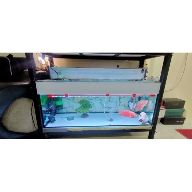 lampu aquarium mayin original view 92 cm mulus no minus
