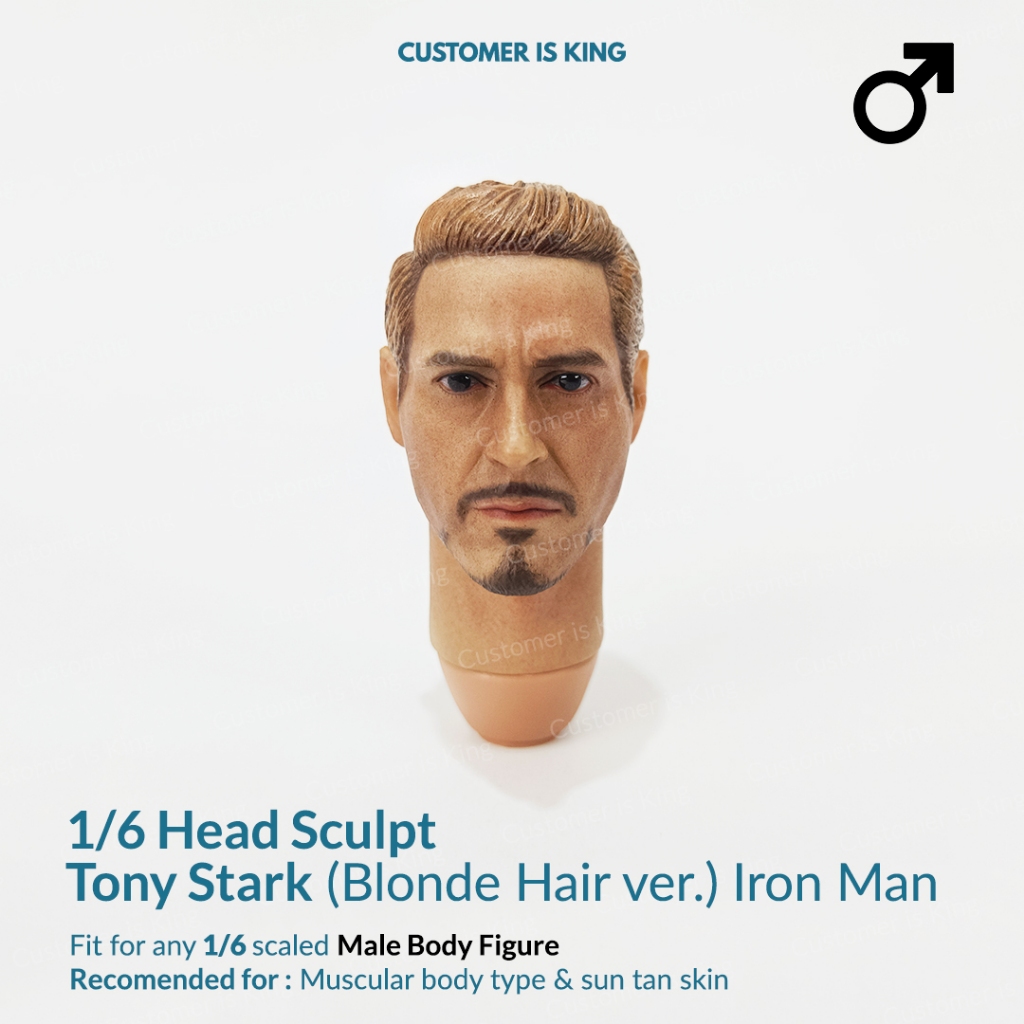 1/6 Head Sculpt Headsculpt HS Tony Stark Iron Man Blonde Kitbash