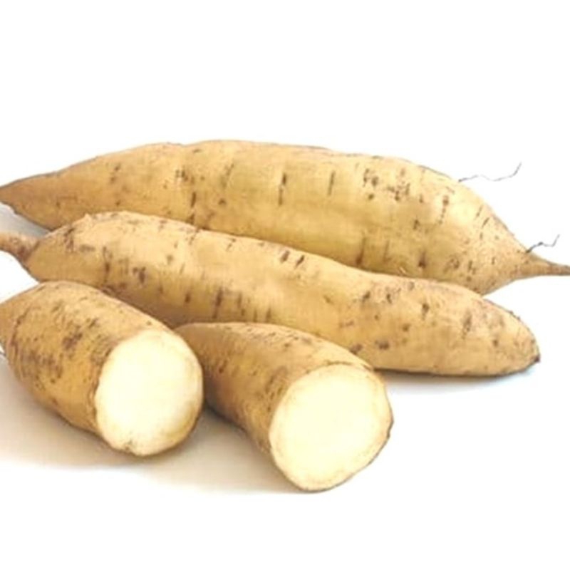

ubi putih / ubi jalar putih 500 gr