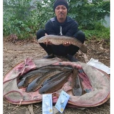 umpan casting gabus HS VIB sirip hiu wan strike 7gram