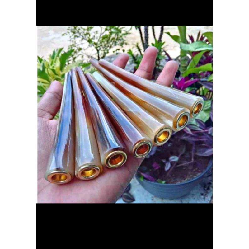 Once sedotan tanduk kerbau once tanduk kerbau bule pipa tanduk hitam