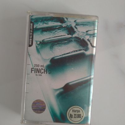 Kaset Pita Finch What it is to Burn.