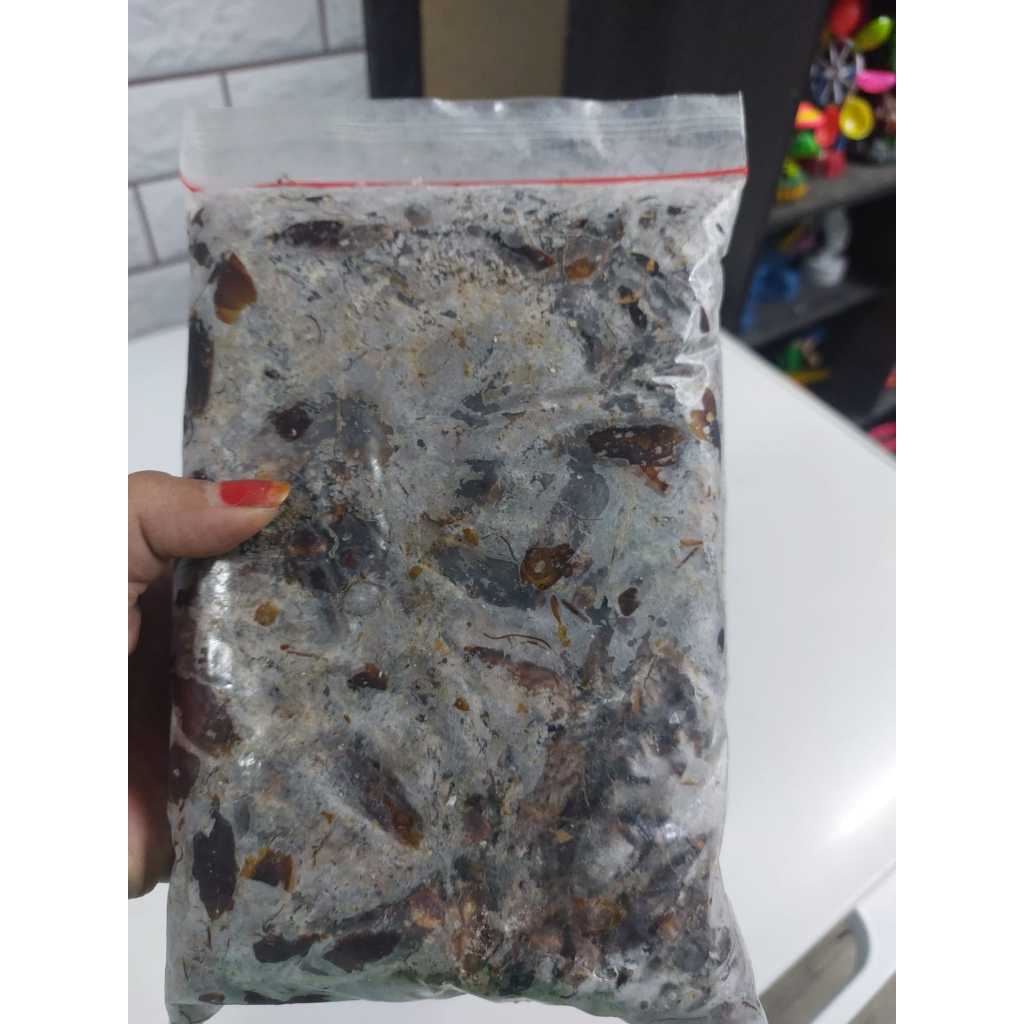 KECOA Beku - Makanan Ikan - 500g